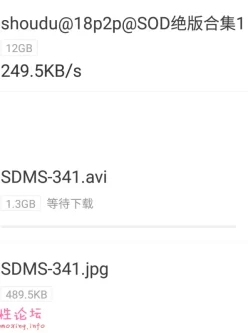shoudu@18p2p@SOD绝版合集1《18v12GB》种子